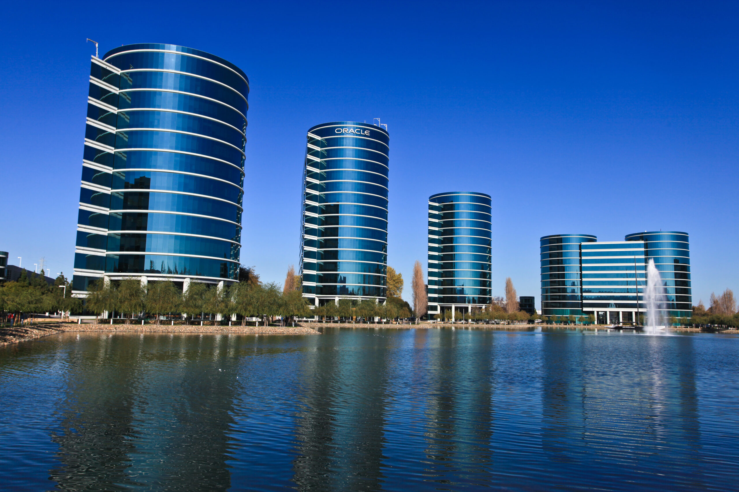 10 Significant Oracle Corporation Business Partners